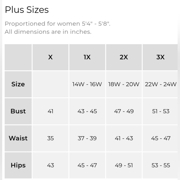 NWT Talbot's Floral Belted Midi Dress Size 20W - Picture 4 of 4